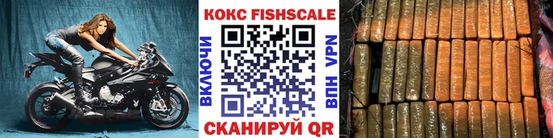 Cocaine FishScale  цены наркотик  Алзамай 