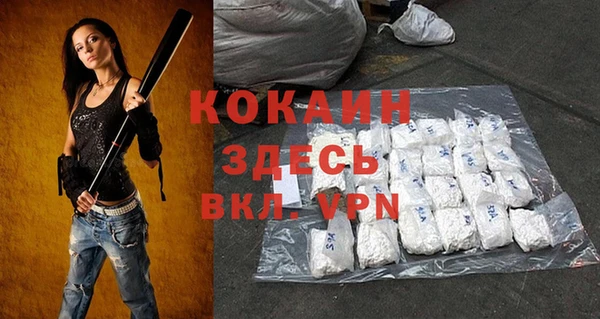 винт Абаза
