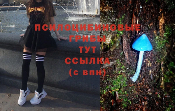 каннабис Алзамай